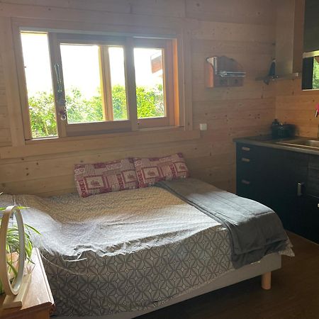 Studio 1 Piece Situe Dans Un Chalet Apartment Beaufort  Ngoại thất bức ảnh